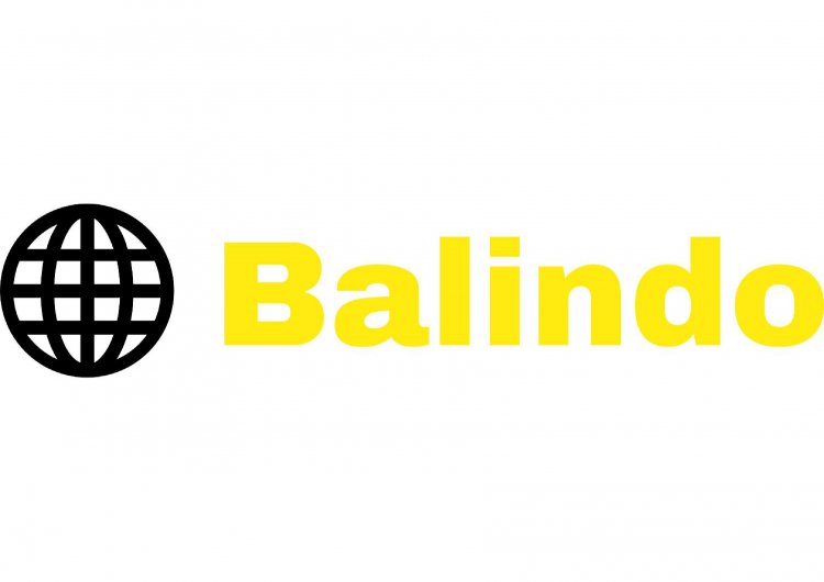 Balindo Services Logo